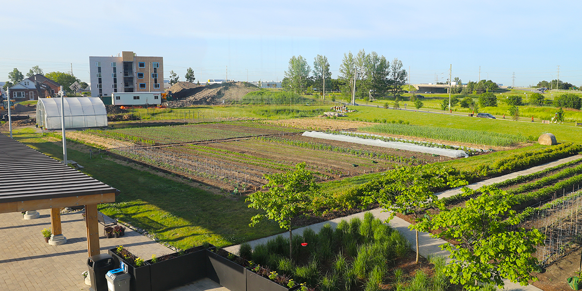 Site of DC's new residence at Whitby campus